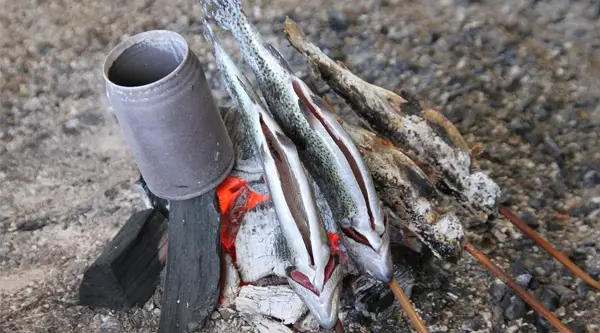 Tasty Camping Foods which Require No Cooler
